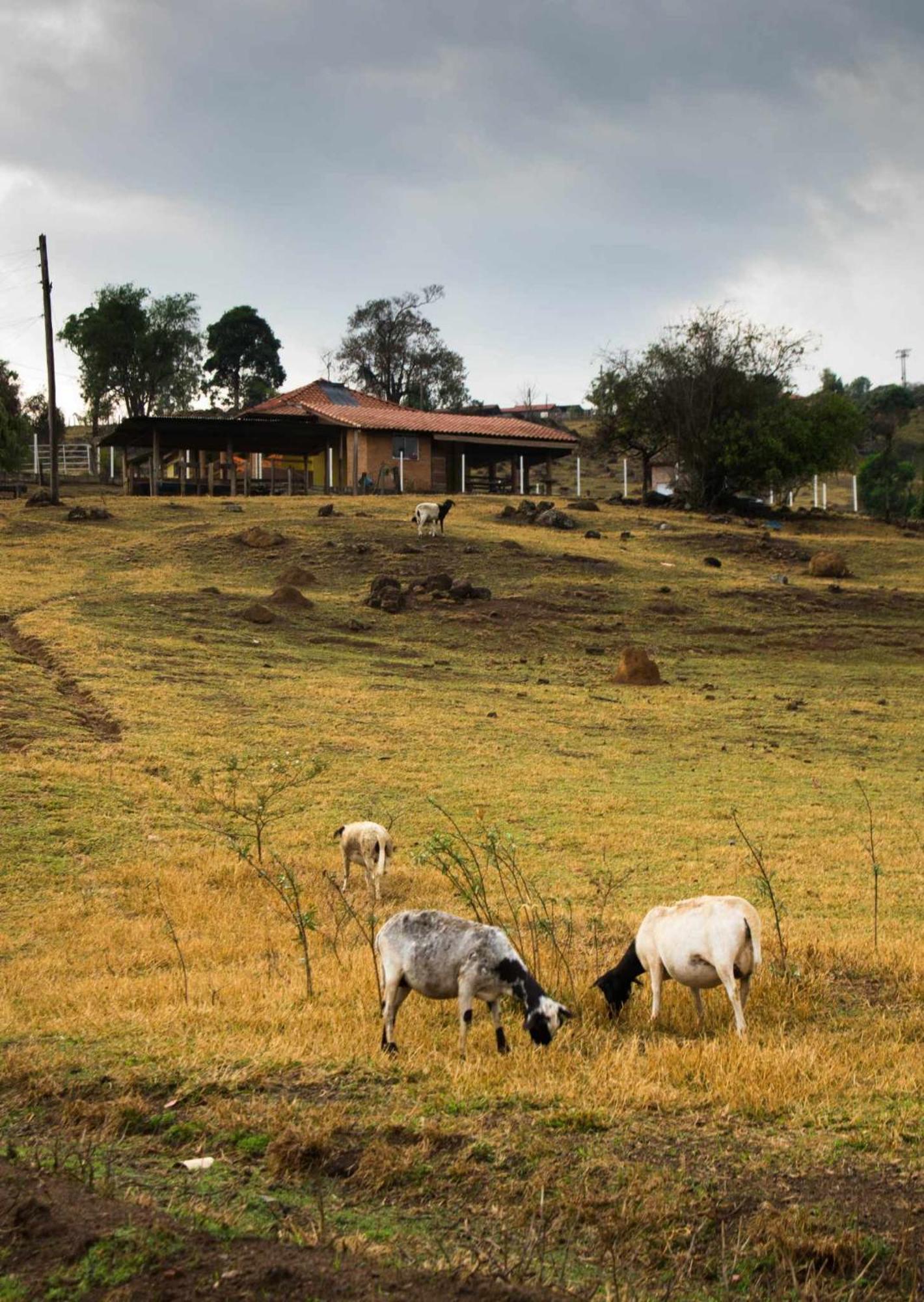 Sitio No Interior De Sp Para Curtir A Natureza 阿瓜斯达普拉塔 外观 照片